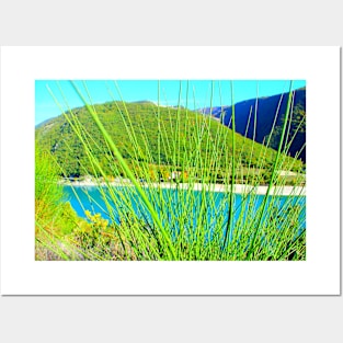 View at spiky vegetation partly hiding Lago di Fiastra Posters and Art